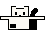 Gato reposo